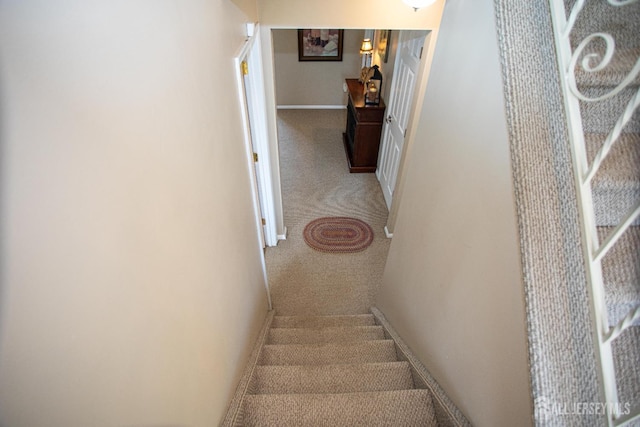 36 Cori St, Sayreville, NJ 08859 - photo 28