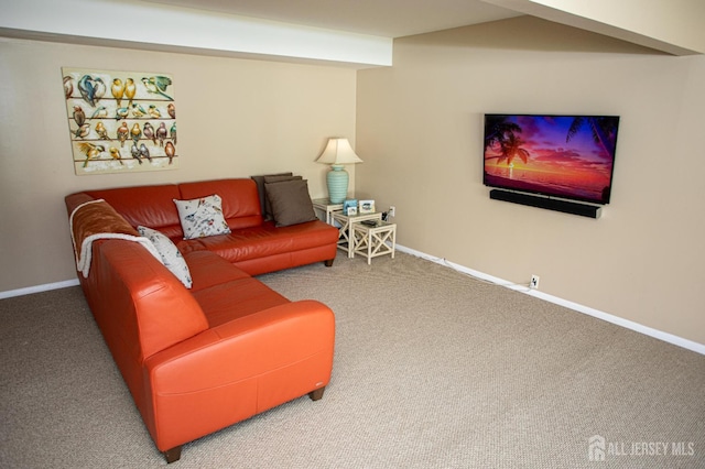 36 Cori St, Sayreville, NJ 08859 - photo 33