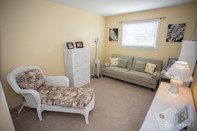 36 Cori St, Sayreville, NJ 08859 - photo 20