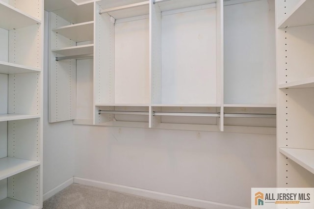 15 Dolley Madison Dr Unit 15C, Monroe, NJ 08831 - spacious closet with carpet flooring