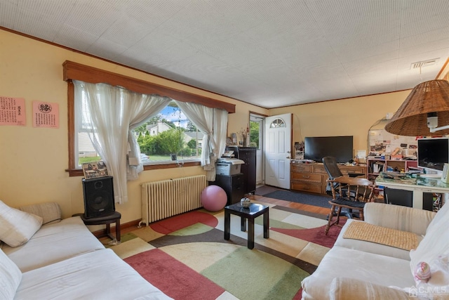25 Lamar Ave, Edison, NJ 08820 - living area with radiator