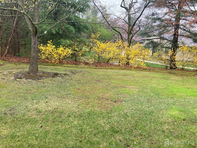 191 Wycoff Way W, East Brunswick, NJ 08816 - view of yard