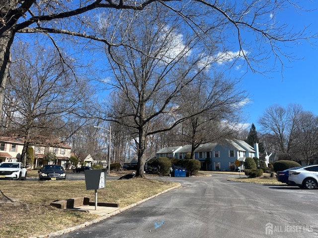 view of street with a residential view and curbs