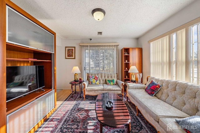 253 Nebula Rd, Piscataway, NJ 08854 - living room featuring wood finished floors and a textured ceiling