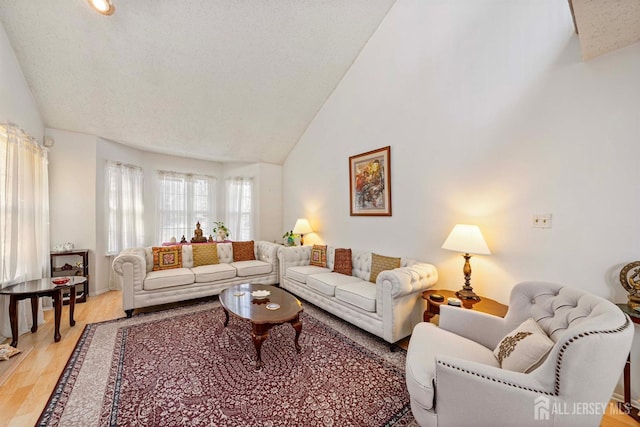 253 Nebula Rd, Piscataway, NJ 08854 - living room with light wood-type flooring, high vaulted ceiling, and a textured ceiling