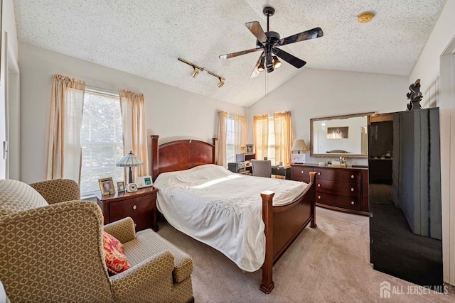253 Nebula Rd, Piscataway, NJ 08854 - bedroom with a textured ceiling, light carpet, lofted ceiling, and a ceiling fan