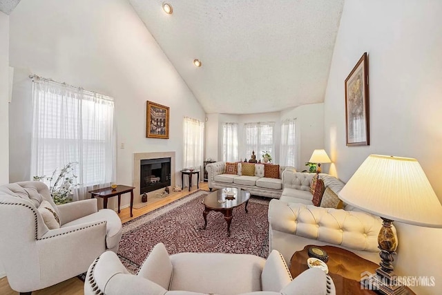 253 Nebula Rd, Piscataway, NJ 08854 - living area featuring a fireplace, wood finished floors, and high vaulted ceiling