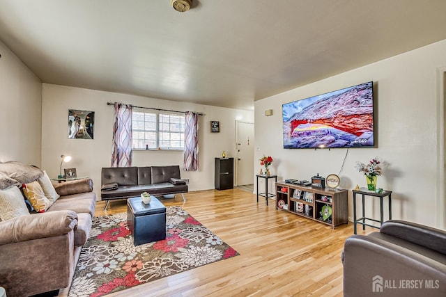 living area with wood finished floors
