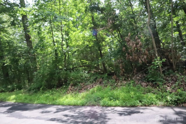 181 Mountain Rd, East Amwell, NJ 08551 - photo 3