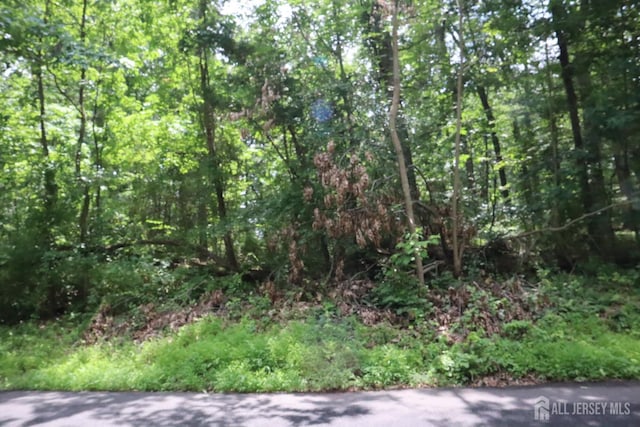 181 Mountain Rd, East Amwell, NJ 08551 - photo 4