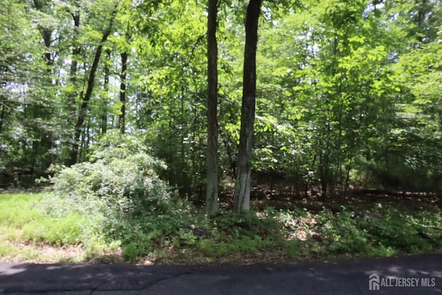 181 Mountain Rd, East Amwell, NJ 08551 - photo 5