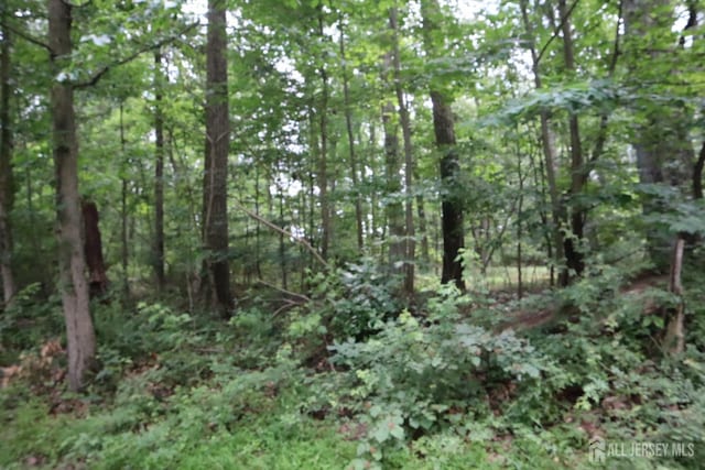 181 Mountain Rd, East Amwell, NJ 08551 - photo 1