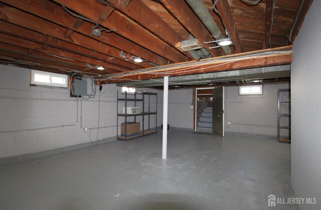 basement with electric panel