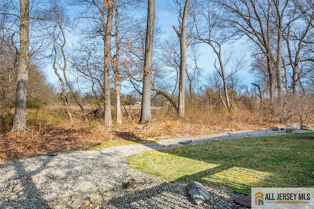 27 Revere Ct, West Windsor, NJ 08550 - view of yard