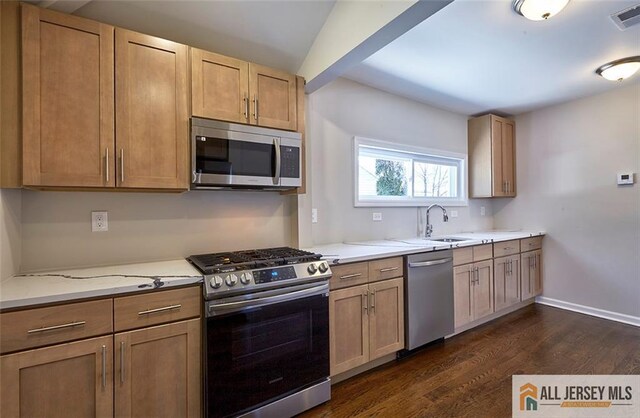 kitchen featuring lofted ceiling, sink, dark hardwood / wood-style floors, light stone counters, and stainless steel appliances