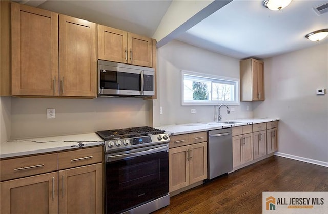 kitchen featuring sink, dark wood-type flooring, appliances with stainless steel finishes, light stone countertops, and light brown cabinets