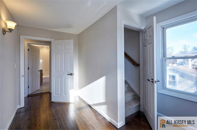 hall featuring a healthy amount of sunlight and dark wood-type flooring