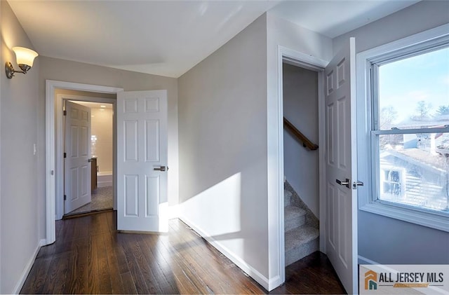 corridor featuring dark wood-type flooring