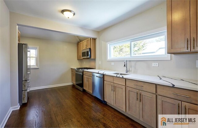 kitchen with appliances with stainless steel finishes, dark hardwood / wood-style floors, and sink