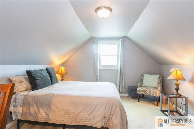 5 Channing Rd, East Brunswick, NJ 08816 - carpeted bedroom with lofted ceiling