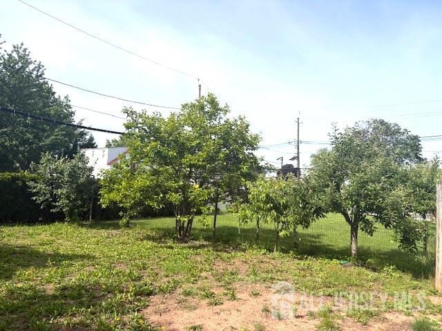 1909 Hamilton Blvd, South Plainfield, NJ 07080 - view of yard