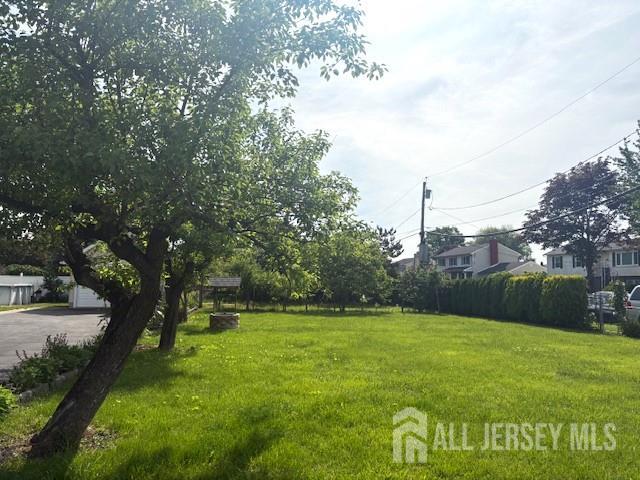 1909 Hamilton Blvd, South Plainfield, NJ 07080 - view of grassy yard with a garage