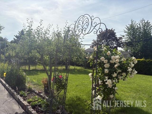 1909 Hamilton Blvd, South Plainfield, NJ 07080 - view of green lawn
