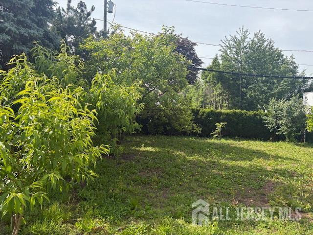 1909 Hamilton Blvd, South Plainfield, NJ 07080 - view of grassy yard