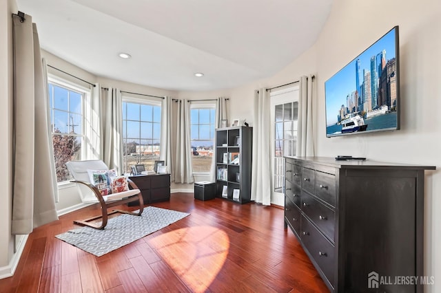 living area with dark wood-type flooring