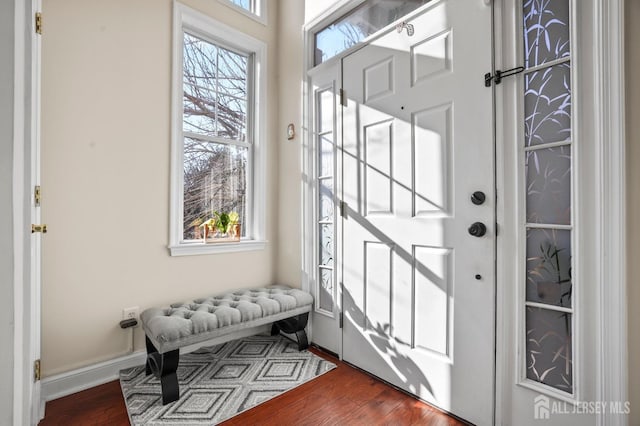 foyer with dark wood-type flooring