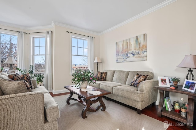 living room with hardwood / wood-style floors and ornamental molding