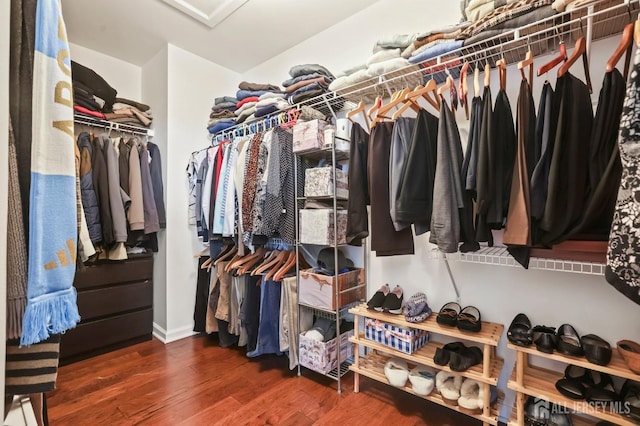 walk in closet featuring dark wood-type flooring