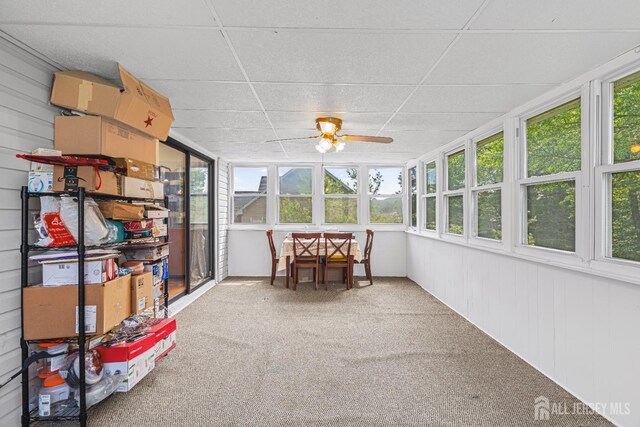 1099 New Dover Rd, Edison, NJ 08820 - sunroom / solarium with plenty of natural light, carpet flooring, a drop ceiling, and wood walls