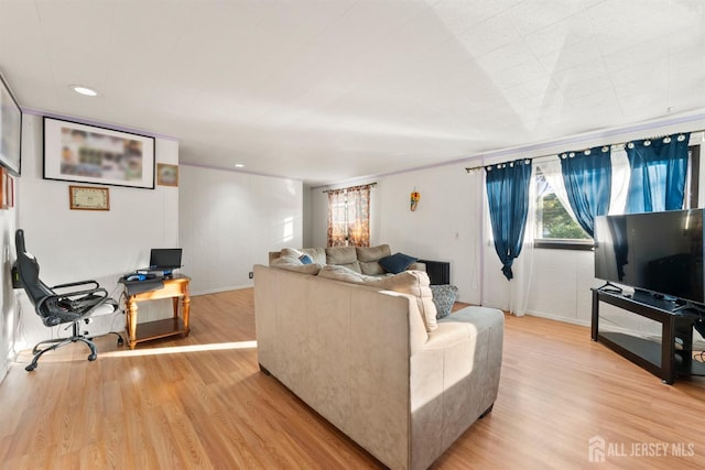 living room with light wood-type flooring