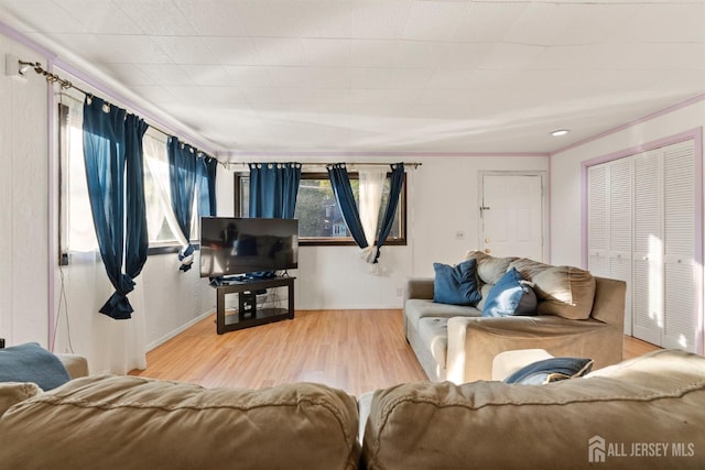 living room featuring hardwood / wood-style floors and ornamental molding