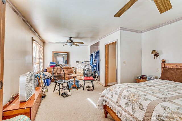 bedroom featuring ornamental molding, carpet floors, ceiling fan, and a closet