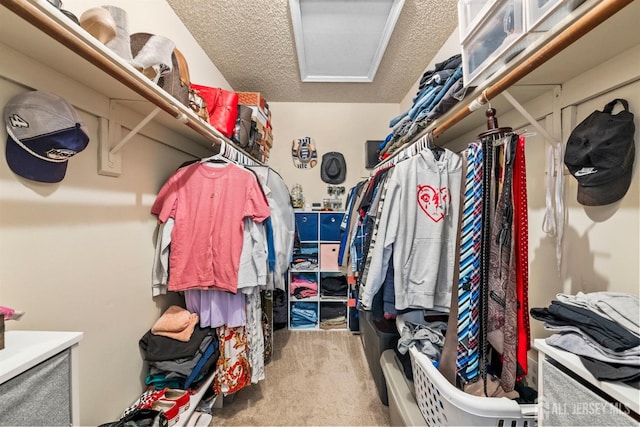 6 Amethyst Way, Franklin Twsp, NJ 08823 - walk in closet with carpet and attic access