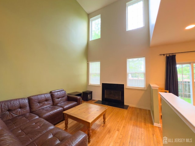 315 Birch Ct, New Brunswick, NJ 08901 - living area with light wood-type flooring, baseboards, a fireplace with flush hearth, and high vaulted ceiling