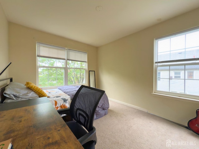 315 Birch Ct, New Brunswick, NJ 08901 - office area featuring light colored carpet, plenty of natural light, and baseboards