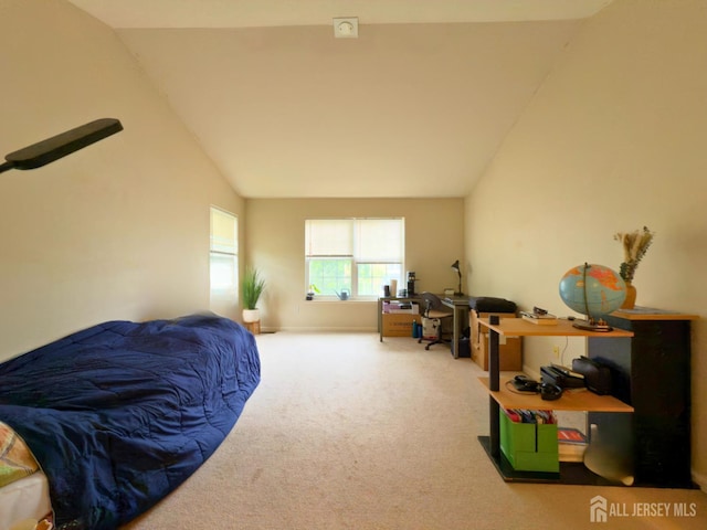 315 Birch Ct, New Brunswick, NJ 08901 - carpeted bedroom with lofted ceiling