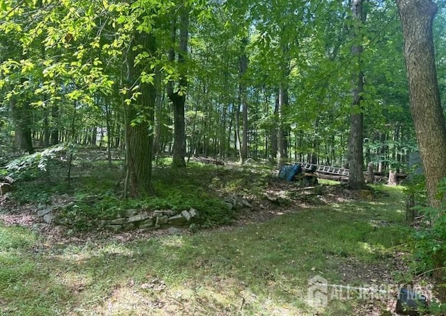 188 N Rd, Chester Twp, NJ 07930 - view of wooded area