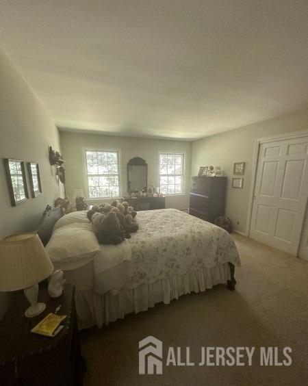 188 N Rd, Chester Twp, NJ 07930 - bedroom featuring carpet