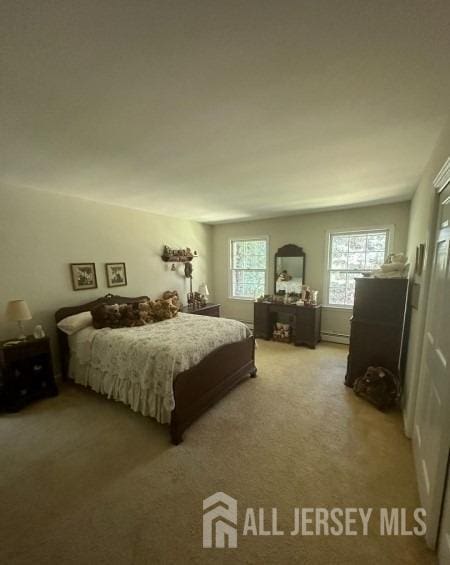 188 N Rd, Chester Twp, NJ 07930 - bedroom featuring light colored carpet and baseboard heating