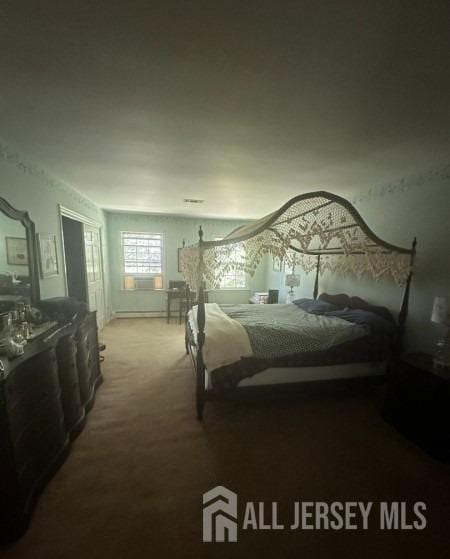 188 N Rd, Chester Twp, NJ 07930 - view of carpeted bedroom