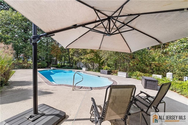 view of pool with a patio area and a diving board