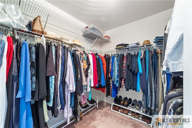 walk in closet featuring carpet