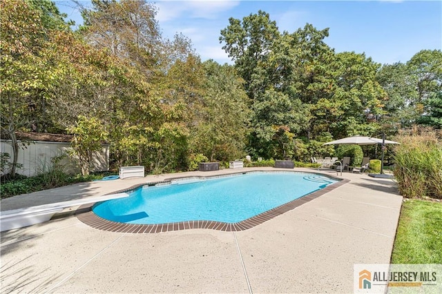 view of pool with a diving board and a patio