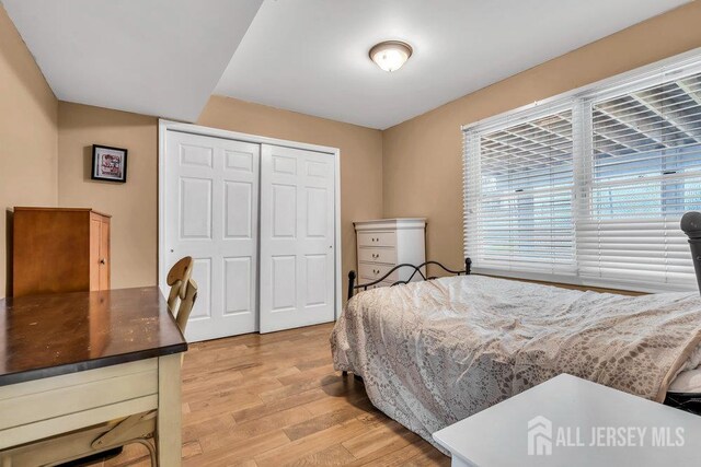 6 Muravski Ct, South River, NJ 08882 - bedroom with light wood-type flooring and a closet