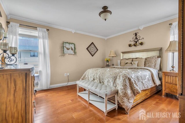 6 Muravski Ct, South River, NJ 08882 - bedroom with ornamental molding and light wood-style floors