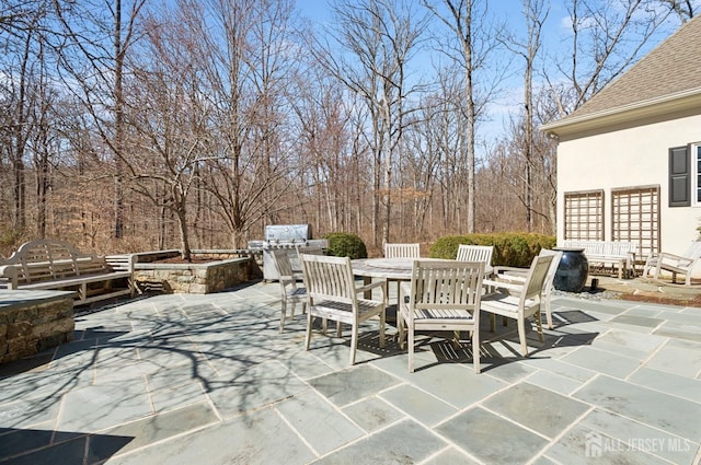 56 Cradle Rock Rd, Princeton, NJ 08540 - view of patio / terrace with outdoor dining area and grilling area